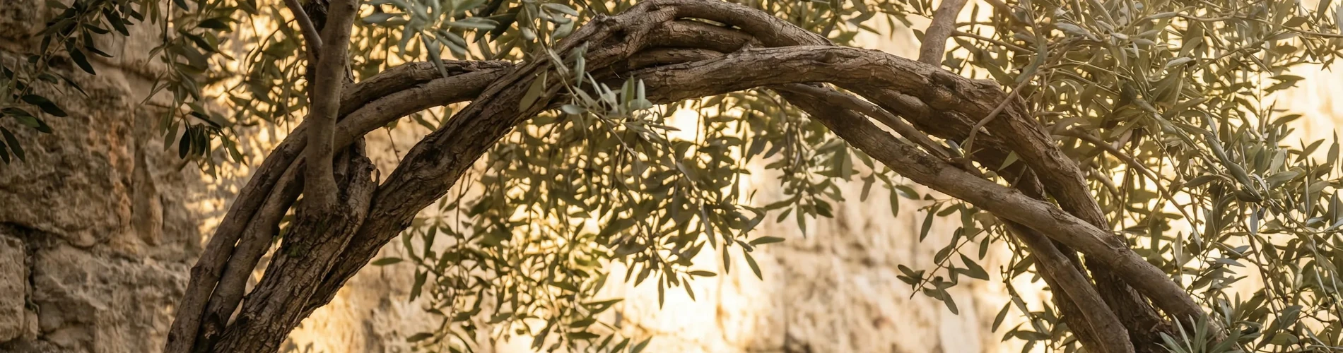 Rabbi Meir and Beruriah: A Torah Marriage That Shaped the Mesorah